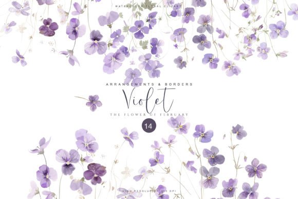 Download Violet February Birth Flower Set - February Collection