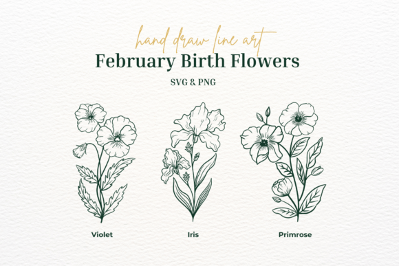 Download February Birth Flower Svg Png - February Collection