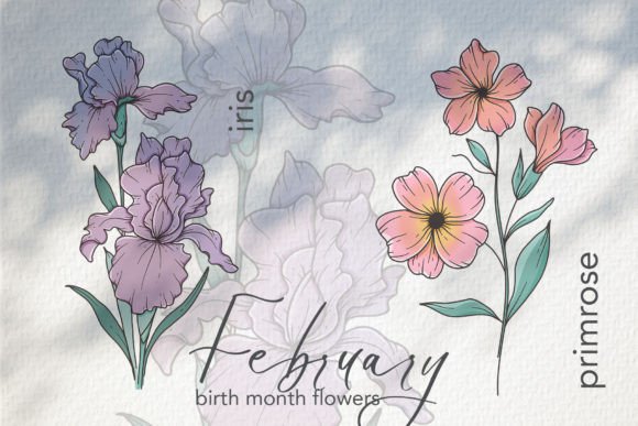 Download February Birth Month Flowers - February Collection